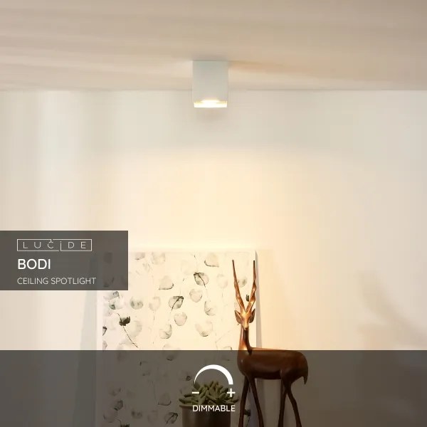 Lucide 09101/01/31 - Lampa spot BODI 1xGU10/42W/230V