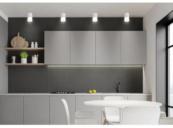 Spot TUBA 1xGU10/15W/230V gri/alb