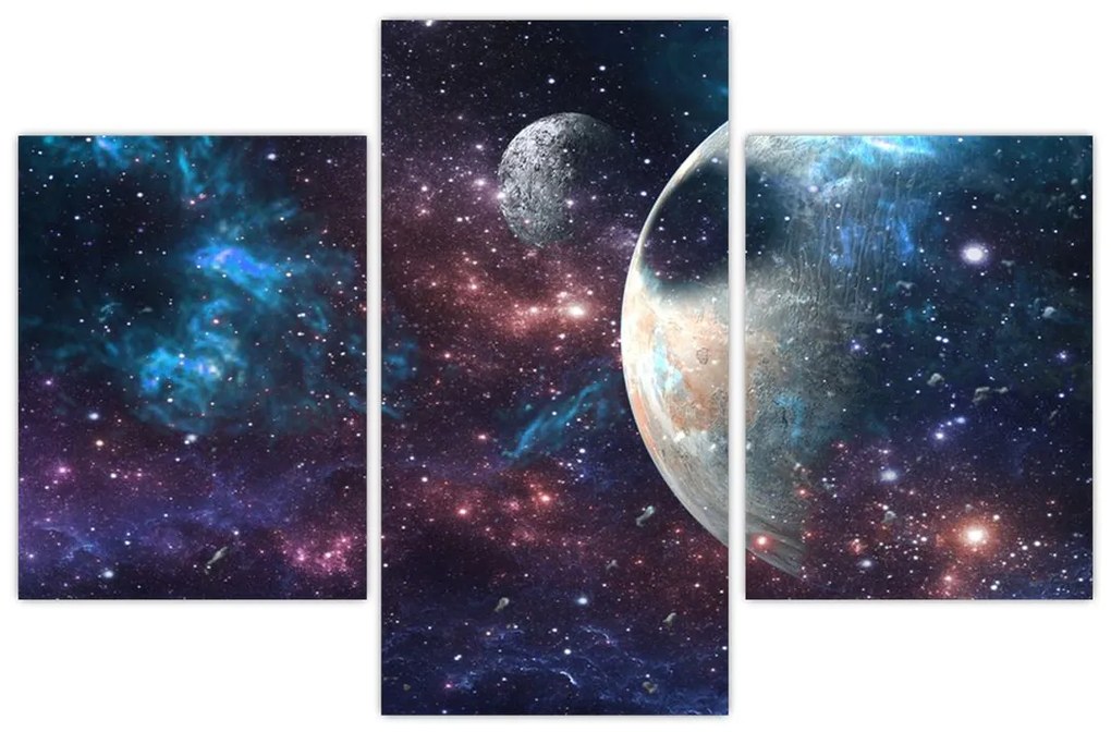 Tablou cu cosmos (90x60 cm)