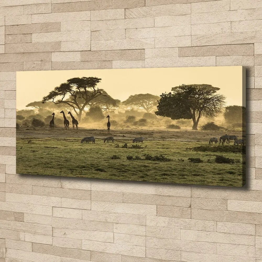 Tablou canvas Girafele pe savana