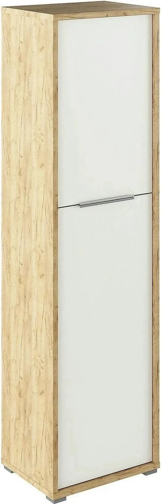Dulap RIOMA TYP 08, stejar artisan/alb, DTD laminat, cu 2 usi, 50x38x1