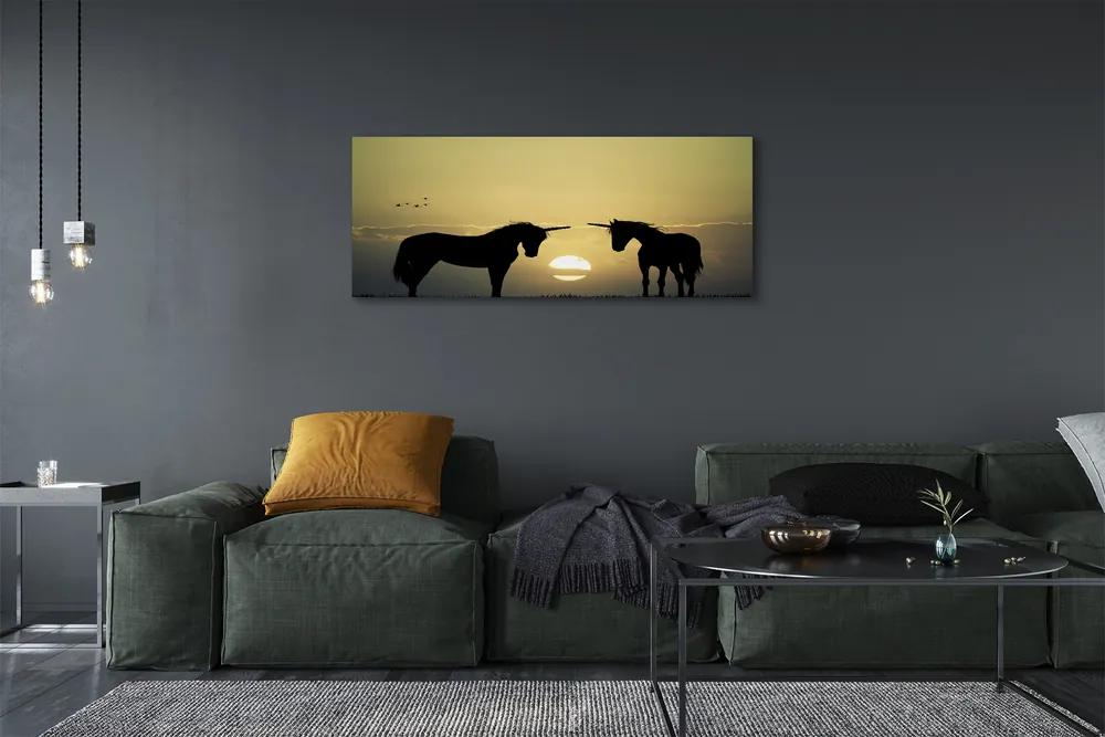 Tablouri canvas Câmp unicorni apus de soare