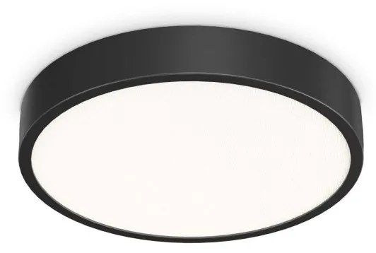 Plafoniera LED pentru baie IP44 Ray pl d40 negru