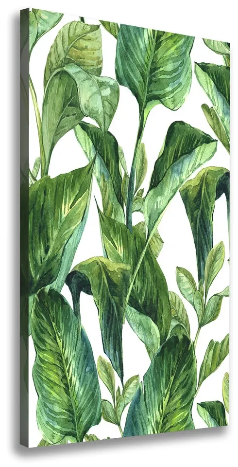 Tablou pe pânză canvas Frunze tropicale