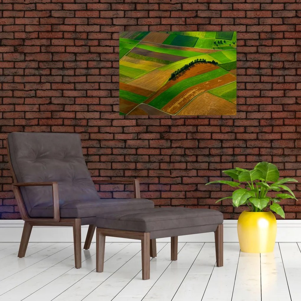 Tablou - Lan, luncile (70x50 cm)