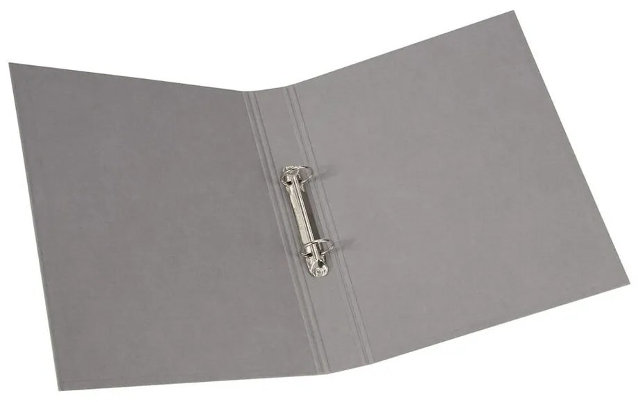 Biblioraft din carton Ringo – Bigso Box of Sweden