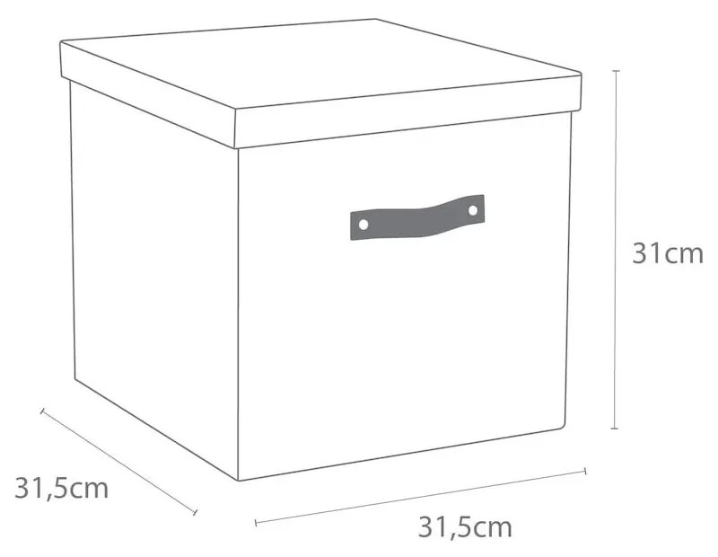 Cutie de depozitare cu capac Logan – Bigso Box of Sweden