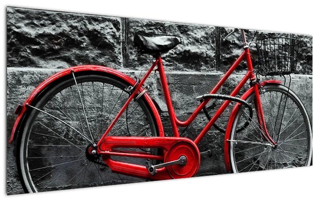 Tablou - Bicicleta istorică (120x50 cm)