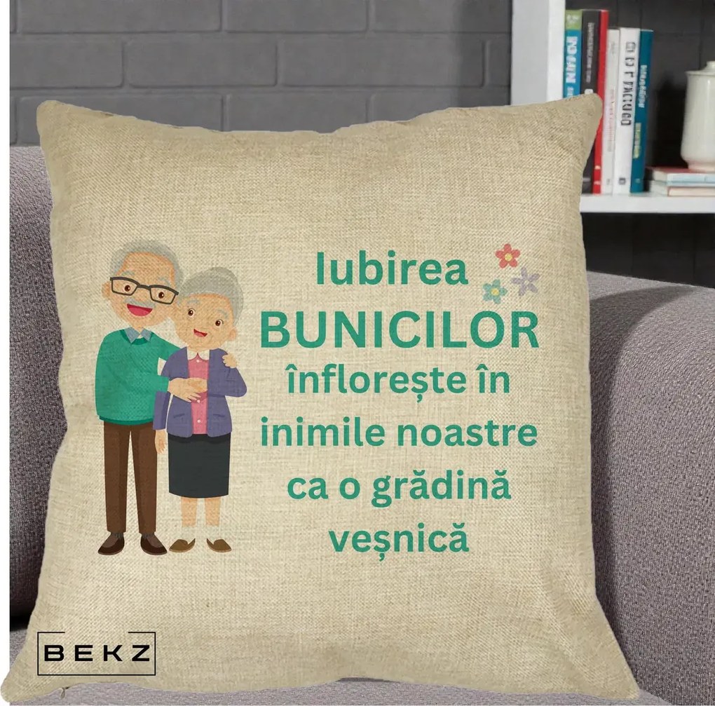 Cadou pentru Bunici - Perna Personalizata Bunicii Iubirea Infloreste Cuplu Senior Teal, 40x40 cm, Crem, Husa Detasabila, Perna Inclusa, BEKZ®