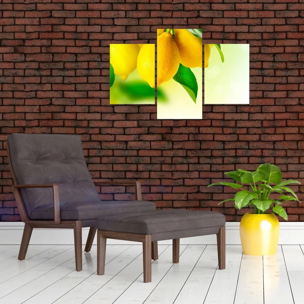 Tablou cu lămâi (90x60 cm)