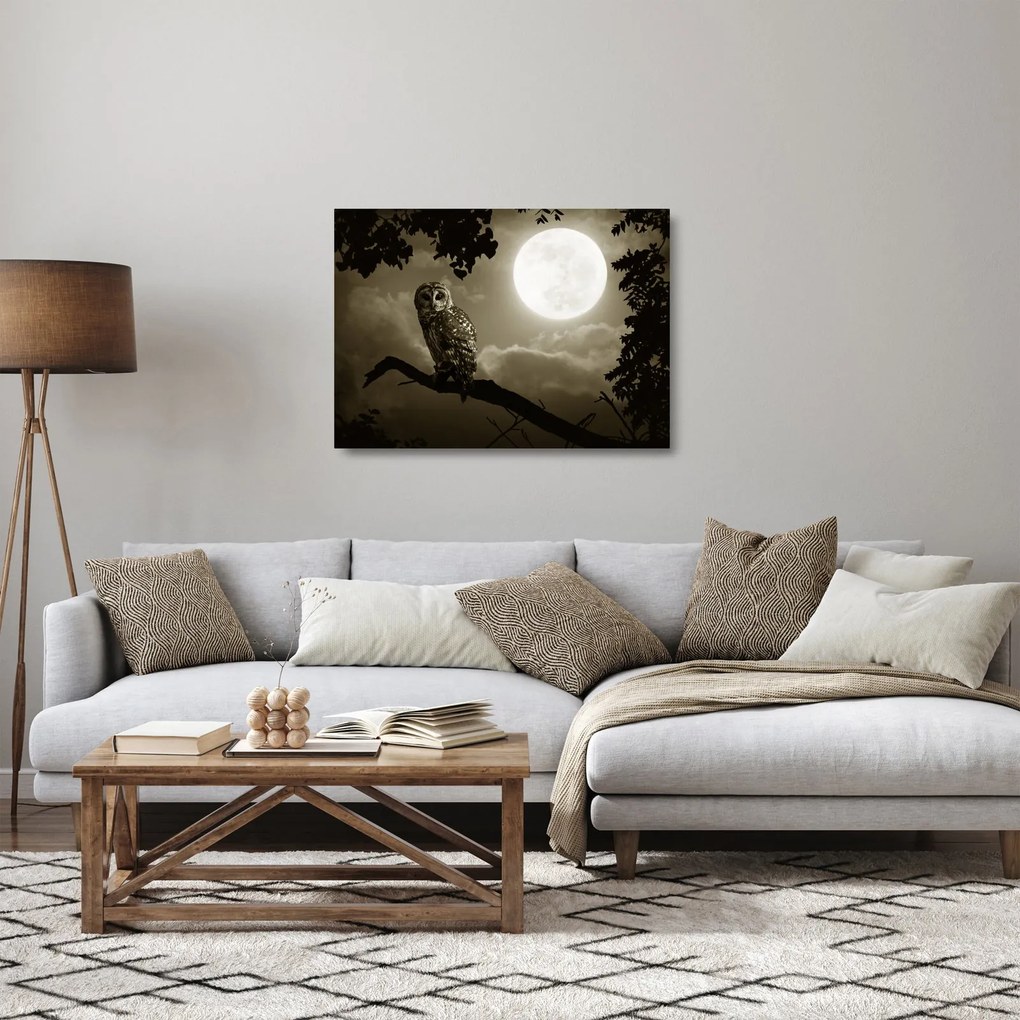 Tablou pe sticlă - Bufniță de noapte, auriu (70x50 cm)
