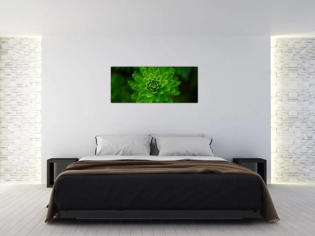 Tablou cu coniferi (120x50 cm)