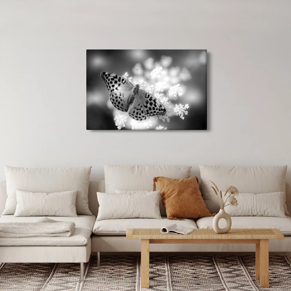 Tablou - Detailu cu fluture care polenizează floare (90x60 cm)