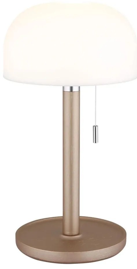 Lampă LED de masă Globo 21016CH NORMAN LED/1,5W/3,7V 3000/4200/6000K maro