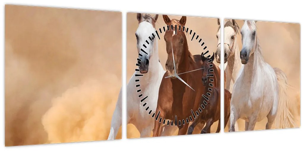 Tablou - Herghelie de cai (cu ceas) (90x30 cm)