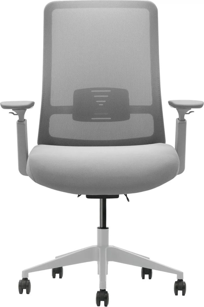 Scaun ergonomic, suport lombar integrat, brațe reglabile, tetieră opțională - Fără tetieră - Gri