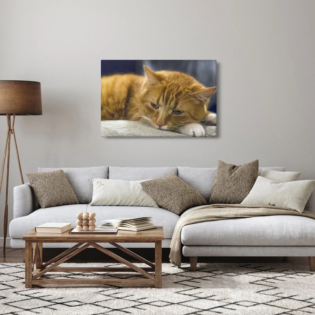 Tablou cu pisica (90x60 cm)