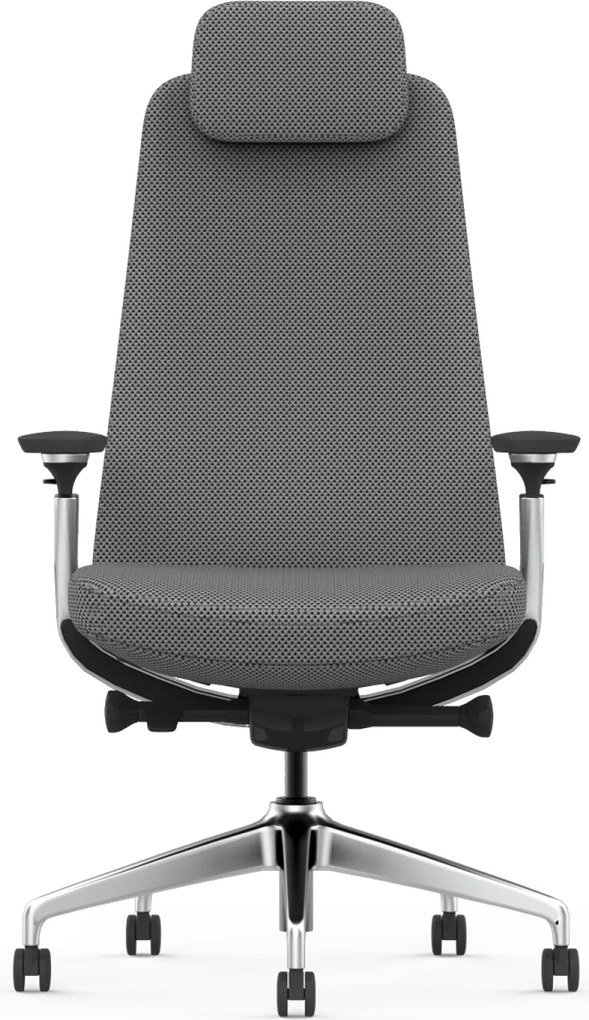 Scaun Ergonomic Premium cu Tetieră Reglabilă, Suport Lombar Ajustabil, Cotiere 3D, Mecanism Multifuncțional și Bază din Aluminiu, Gri