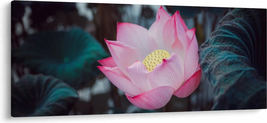 Tablou cu floare roz (120x50 cm)