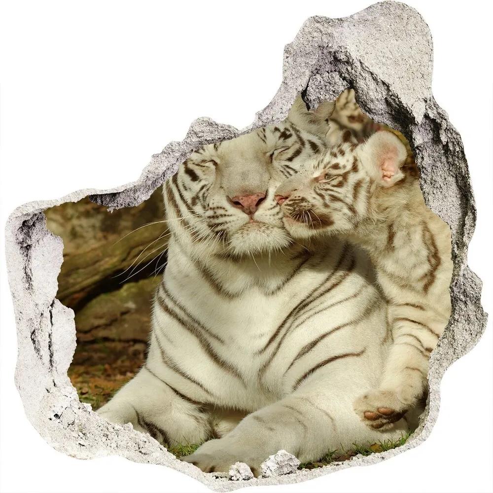 Fototapet 3D gaură în perete Tigers