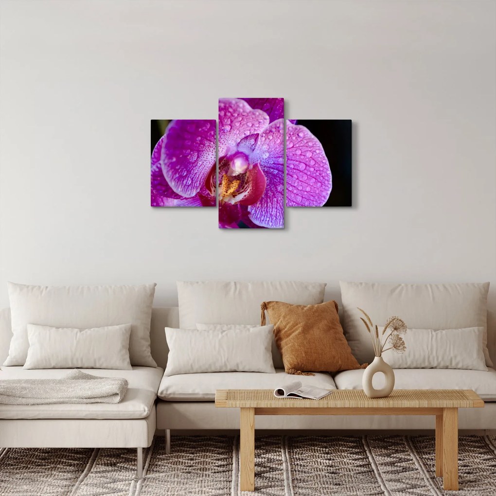 Tablou detailat cu floare de orhidee (90x60 cm)