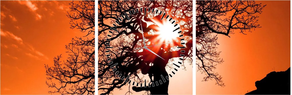 Tablou - Fag la apus de soare (cu ceas) (90x30 cm)