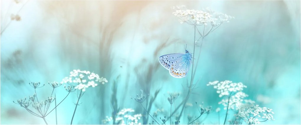 Tablou - Fluture în albastru (120x50 cm)