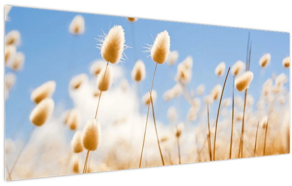 Tablou - Câmp de aur (120x50 cm)