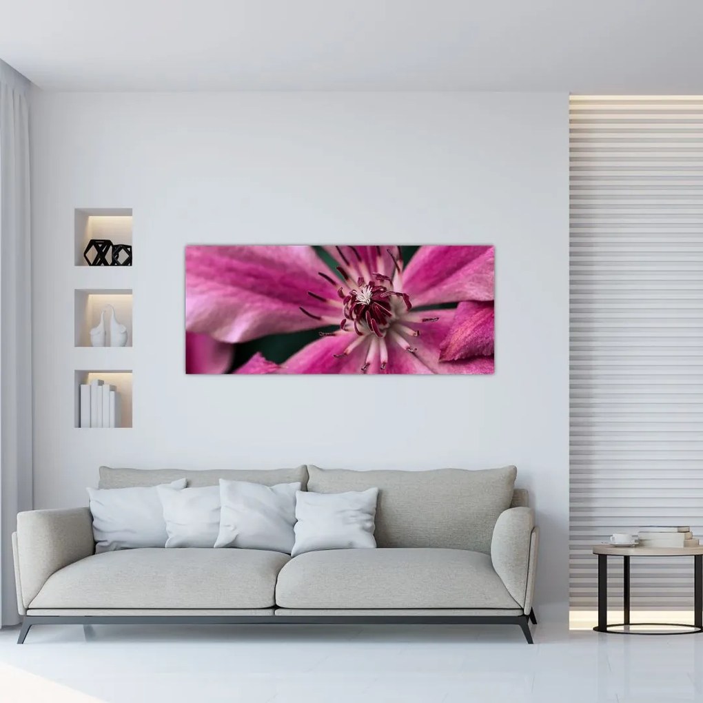 Tablou cu floarea roz de clematis (120x50 cm)