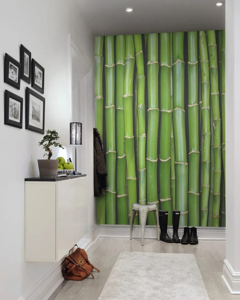 Tapet Bamboo, Rebel Walls