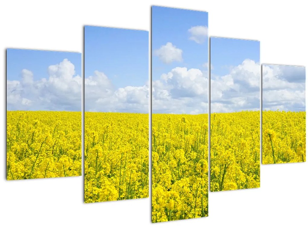 Tablou - Câmp galben (150x105 cm)