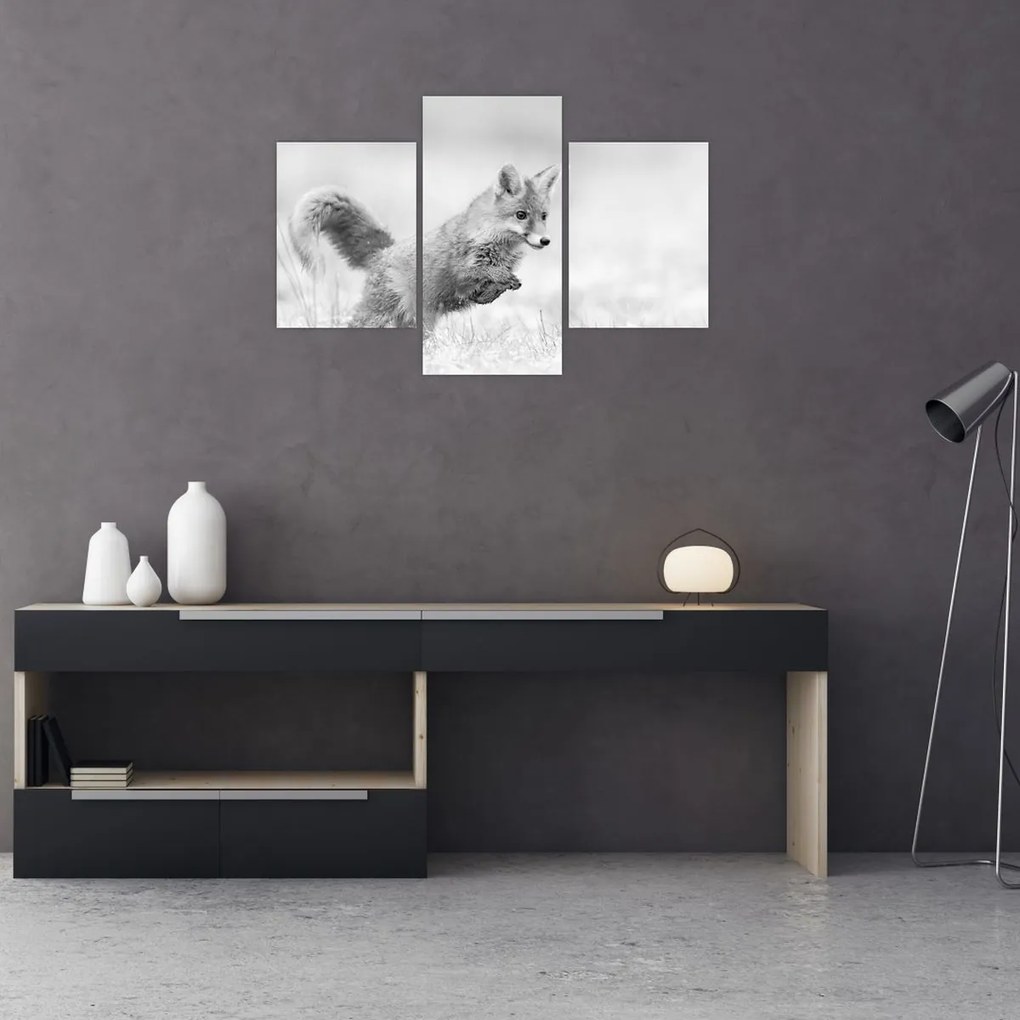 Tablou - Vulpe care sare,alb-negru (90x60 cm)