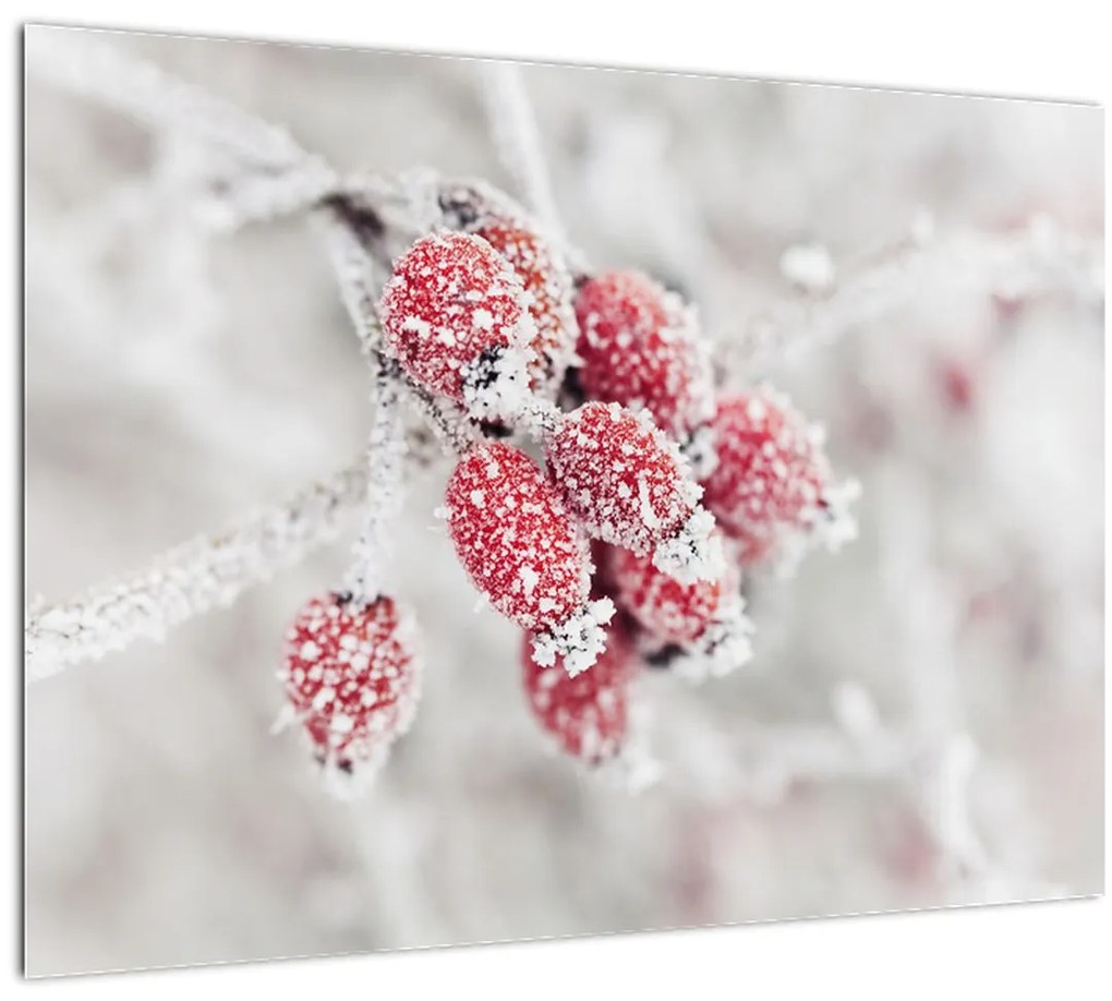 Tablou - Fructe congelate (70x50 cm)