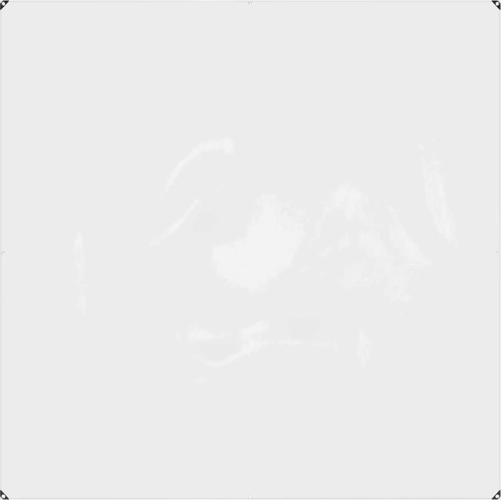 vidaXL Împătură cu ochiuri Transparent 2 x 2 m Polietilenă