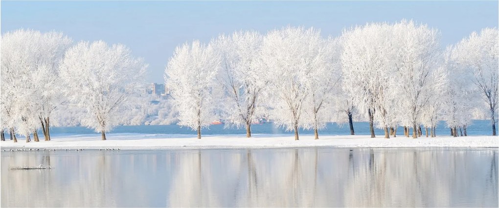 Tablou cu peisaj de iarnă (120x50 cm)