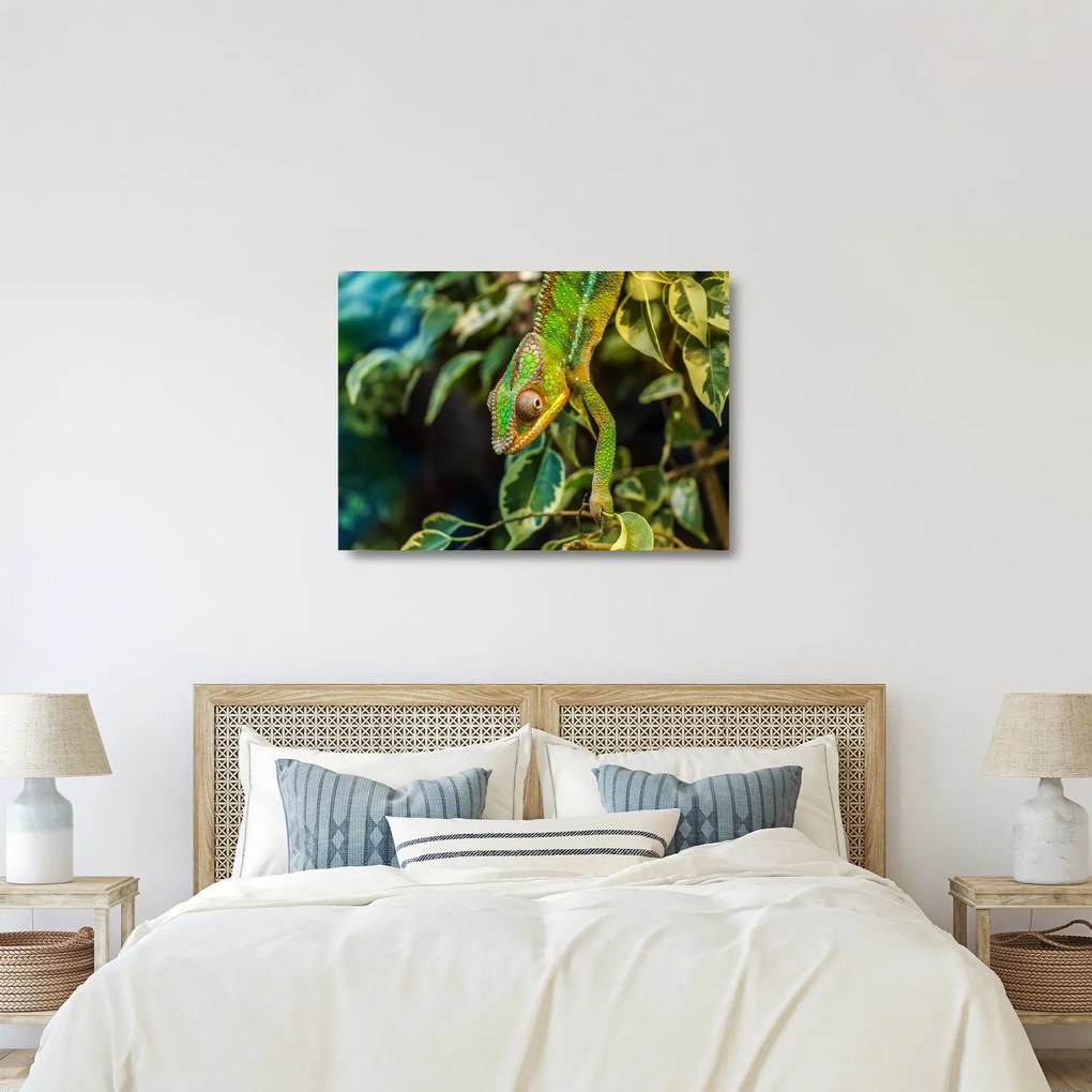 Tablou pe sticlă cu cameleon (70x50 cm)