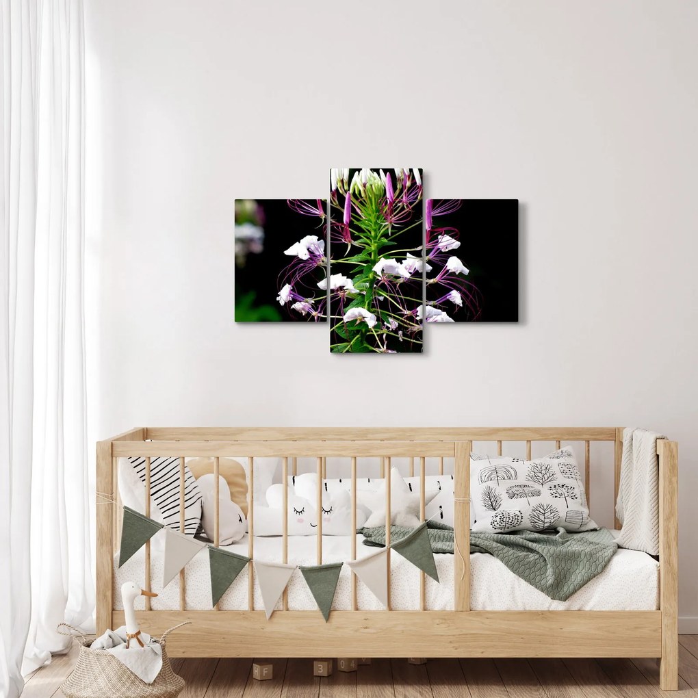 Tablou cu floare (90x60 cm)