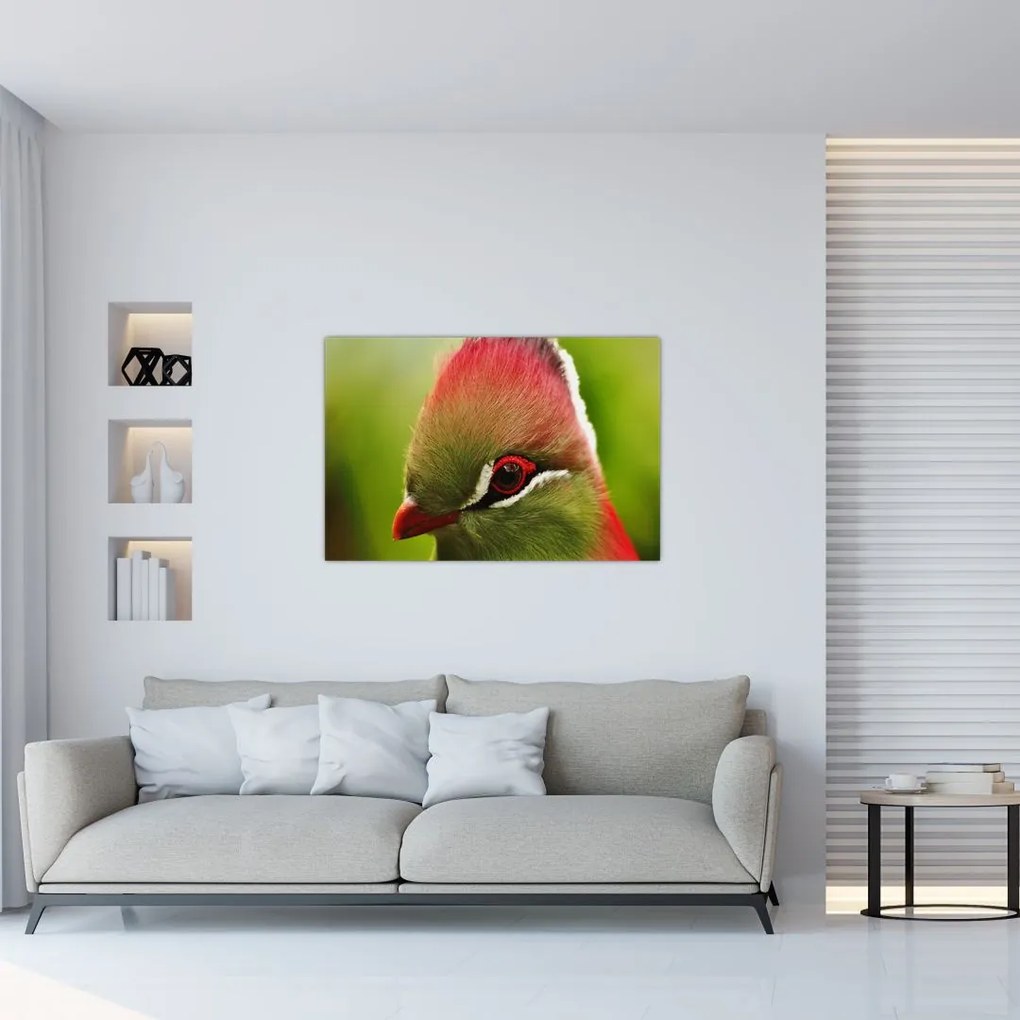 Tablou cu pasărea colorată (90x60 cm)