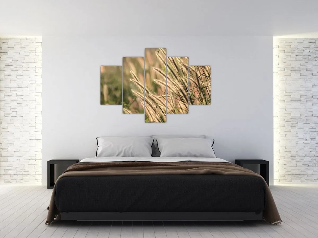 Tablou - Cereale (150x105 cm)