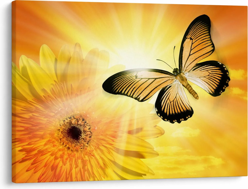 Tablou - Fluture galben cu flori (70x50 cm)
