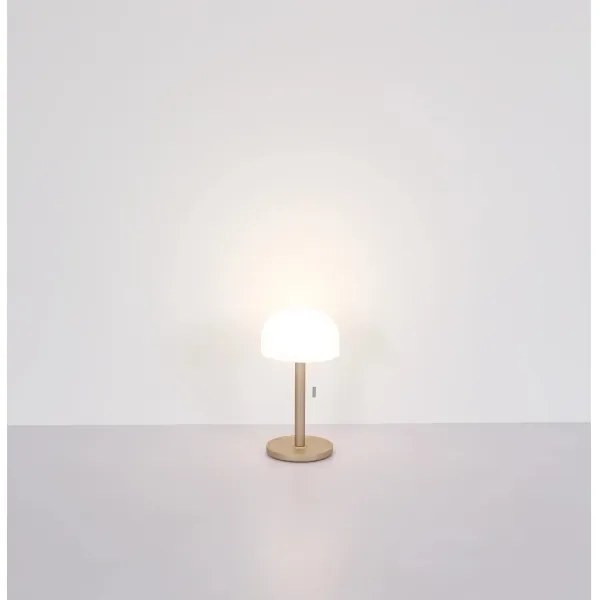 Lampă LED de masă Globo 21016CH NORMAN LED/1,5W/3,7V 3000/4200/6000K maro