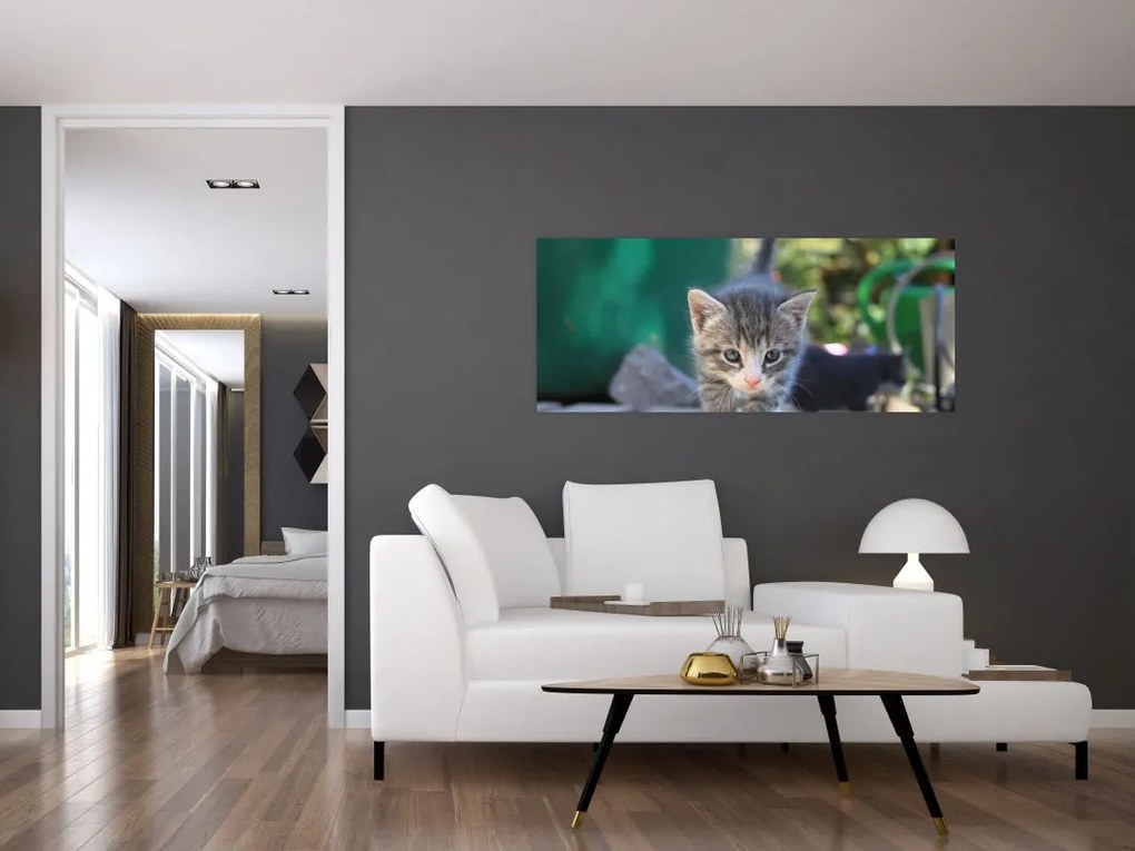 Tablou cu pisicuțe (120x50 cm)