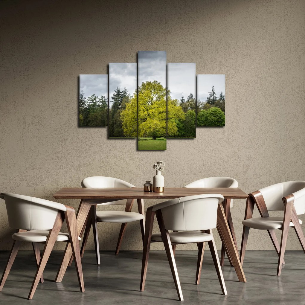 Tablou - Copac verde în câmp (150x105 cm)