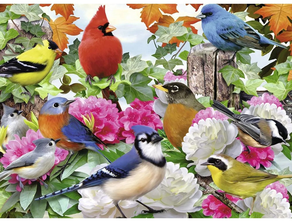 PUZZLE PASARI, 500 PIESE - RAVENSBURGER (RVSPA14223)