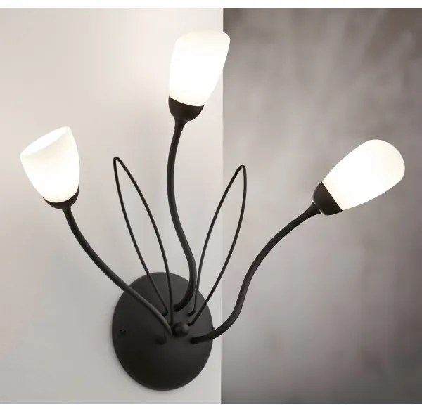 Jupiter 2059 - Aplică de perete GLORIOSA 3xG9/14W/230V, neagră