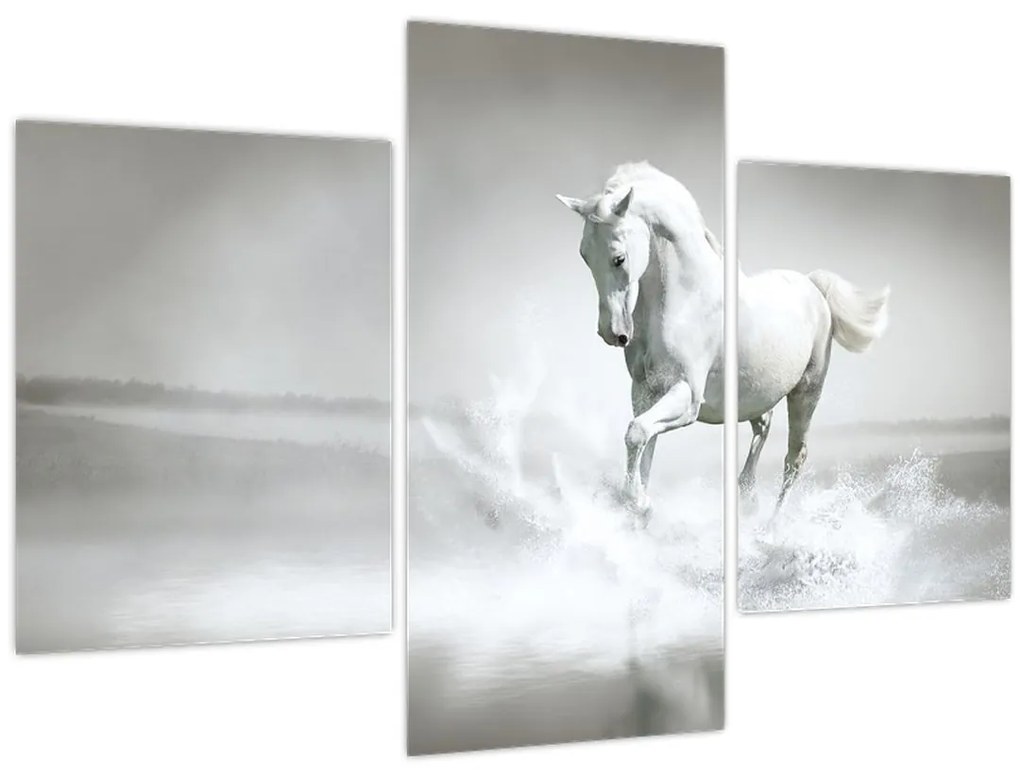 Tablou - Cal alb (90x60 cm)