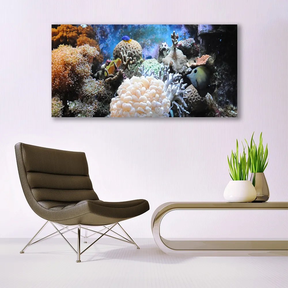 Tablou pe panza canvas Coral Reef Natura Gri Alb Galben