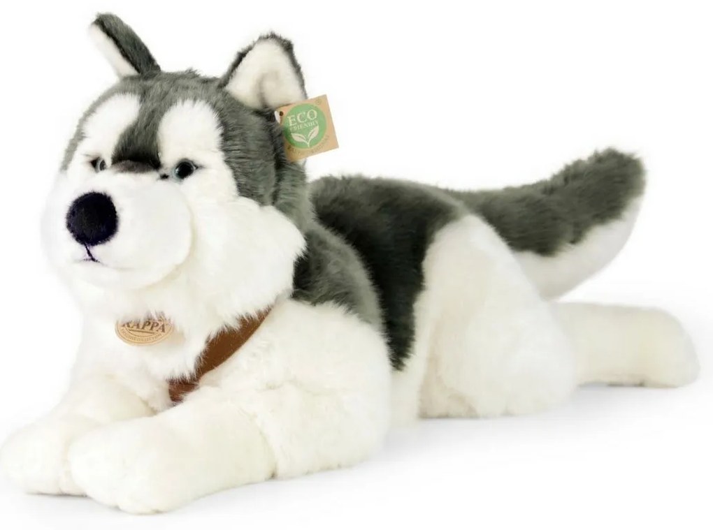 Jucărie pluș Rappa câine husky cu ham 60 cm ECO - FRIENDLY