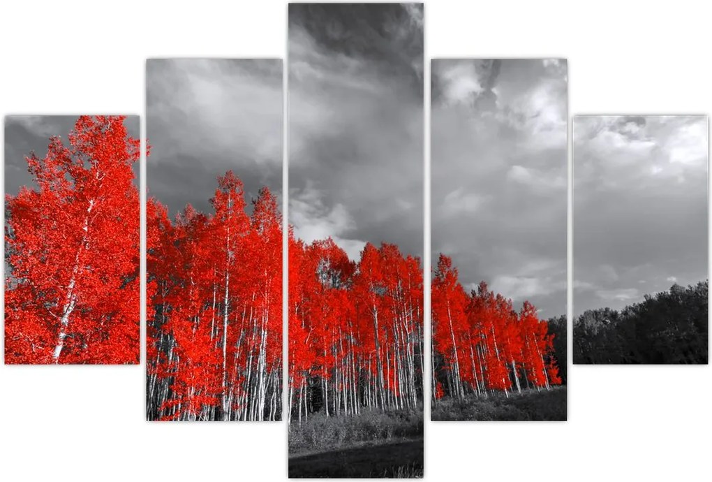 Tablou - Copaci în culorile toamnei (150x105 cm)