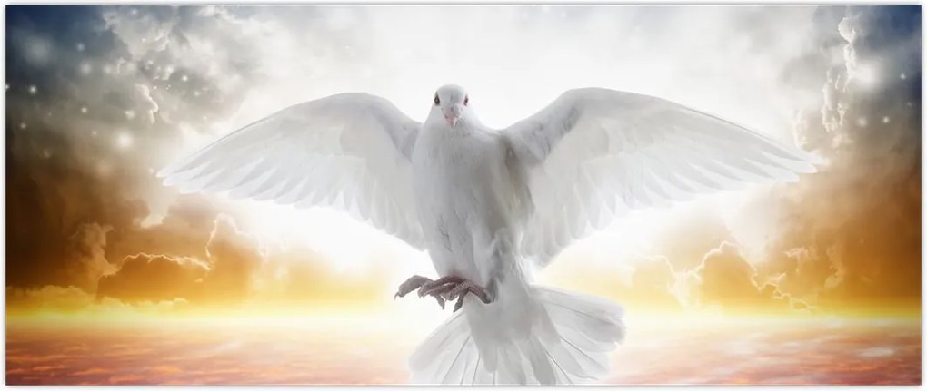 Tablou porumbiță (120x50 cm)